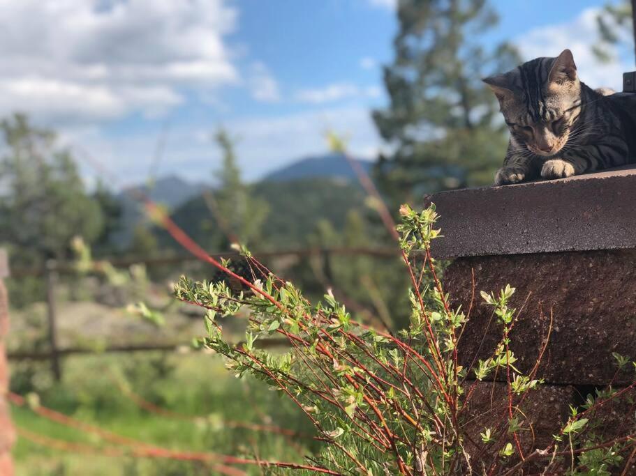 Boulder Best City And Nature With Lake And Trails Pets Ok Exteriér fotografie