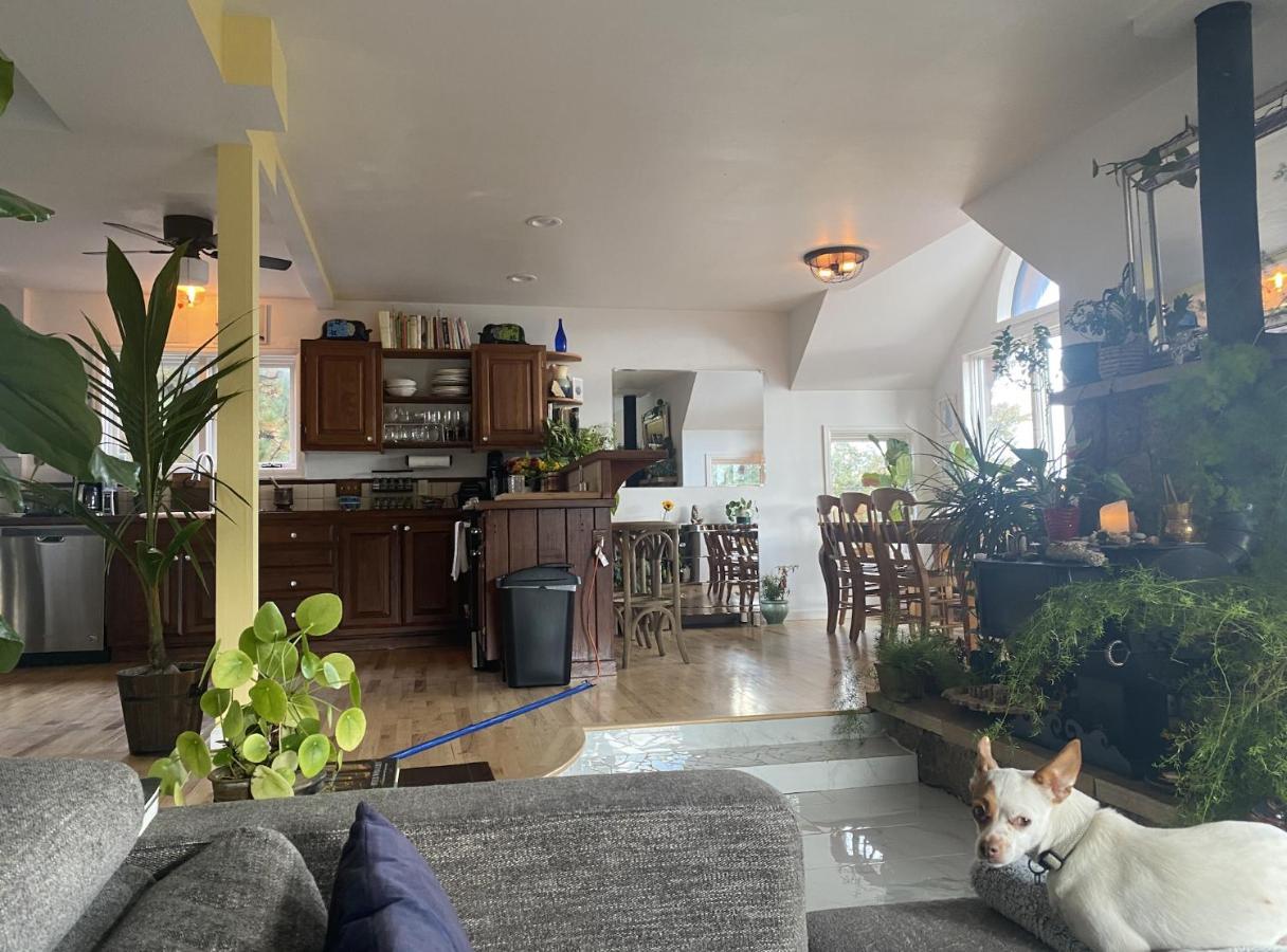 Boulder Best City And Nature With Lake And Trails Pets Ok Exteriér fotografie
